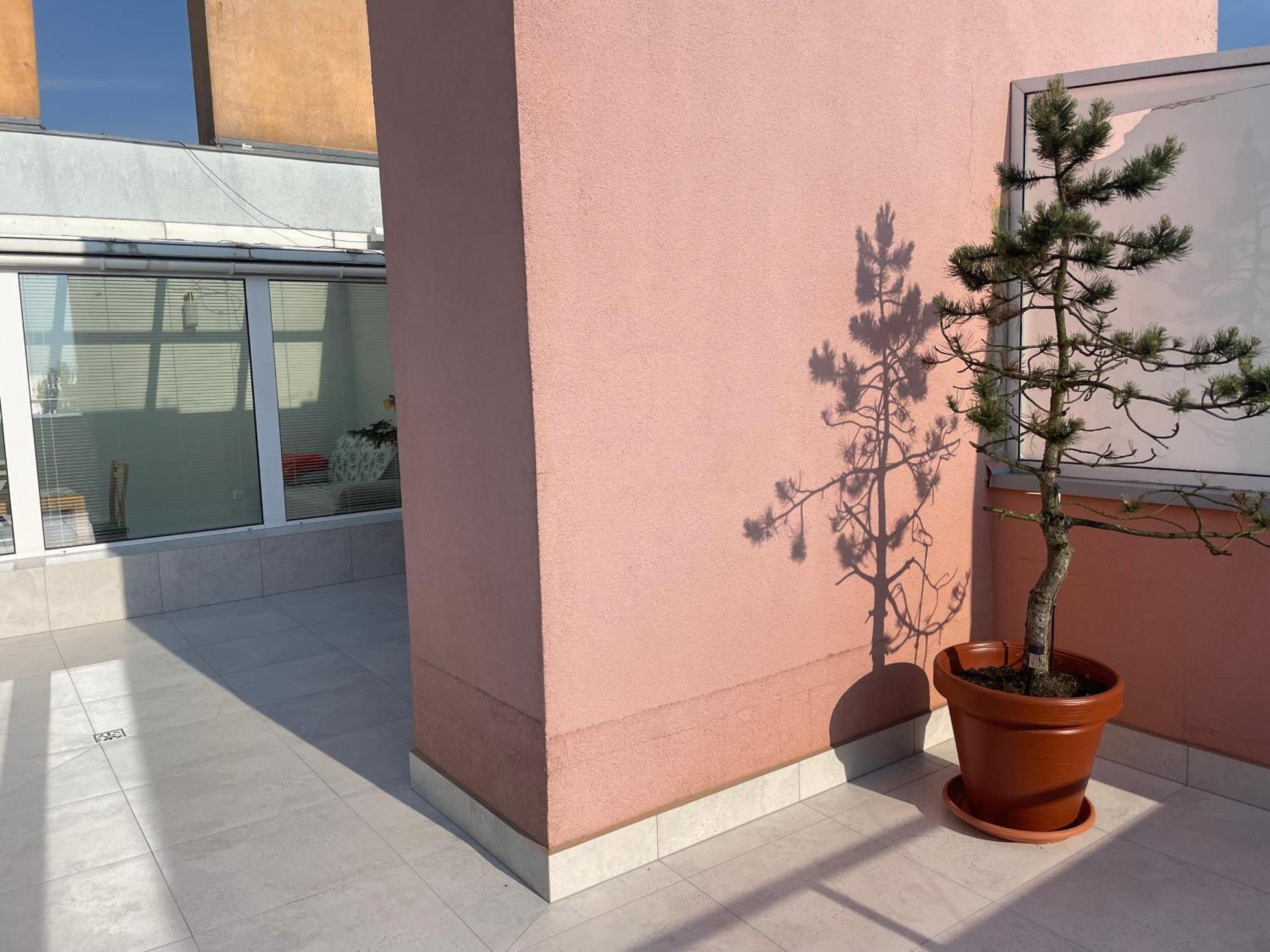 Wolin-Travel Fala Apartamenty Z Widokiem Na Morze 米兹多洛杰 外观 照片